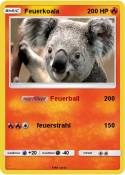 Feuerkoala