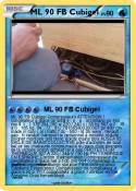 ML 90 FB Cubige