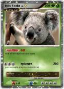 epic koala