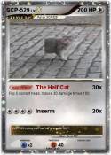 SCP-529
