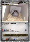 Mr Hamster