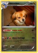 dracochien