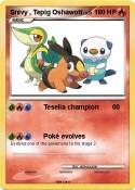 Snivy , Tepig