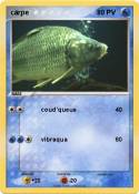 carpe