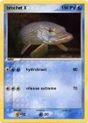brochet X