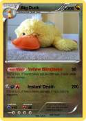 Big Duck