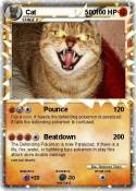 Cat 500