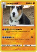 strong corgi