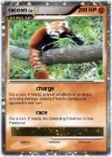 racoon