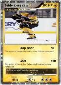 Seidenberg ex