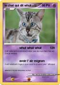 le chat qui dit