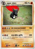 super chien