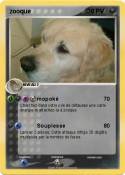 zooque