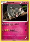 Tree rat