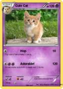 Cute Cat