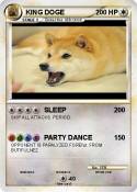 KING DOGE