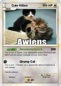 Cute Kitten