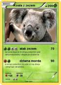 Koala z zezem