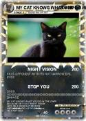 MY CAT KNOWS