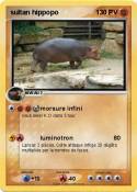 sultan hippopo
