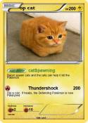op cat