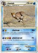 cheetah