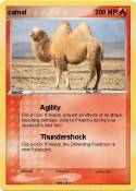 camel