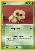 Owl