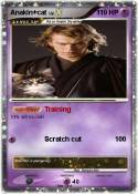 Anakin+cat