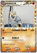 REINDOGE