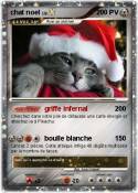 chat noel