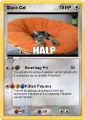 Stuck Cat