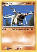 Spotter pug