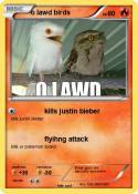 o lawd birds