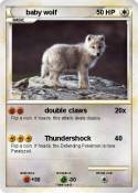 baby wolf