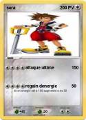 sora