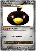 Black Bird
