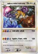 raikou entei