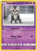 Cute Cat