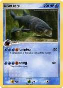 Silver carp