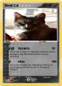 Small Cat