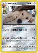 Sissinette