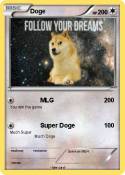 Doge