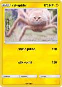 cat-spider