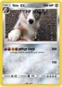 Toto GX