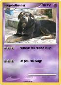 loup-rottweiler