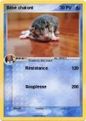 Bébé chatont