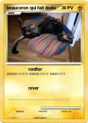 beauceron qui