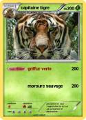 capitaine tigre