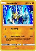 Vegeta ssbe